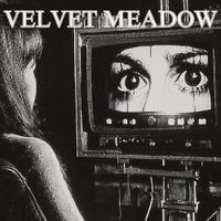 Velvet Meadow - Its Just My Feelings Grow