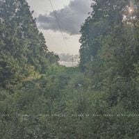 Ivory Tower - Mechanism of Orphaned Hypothetical Narratives