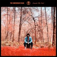 The Confederate Dead - Outside The Void