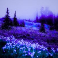 Gishiki-P - Grievances
