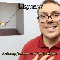 Ligmaw - Anthony fantano death grips singles