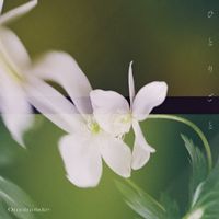 Omoinotake - ひとりごと [Hitorigoto]