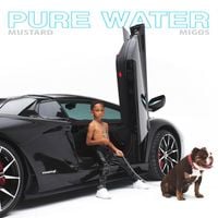 Mustard & Migos - Pure Water