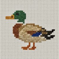 Gugusar - QUACK