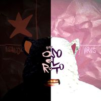 Oso El Roto - Estallido y virus