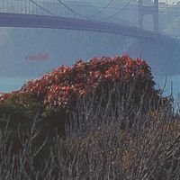 Cardnl - Nothing Is Happening and Still We Keep Changing