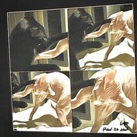 lqm - paw to jaw