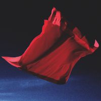 thistle. - fleur rouge