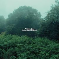 Callum Heron - A Rainy Day in the Lake District