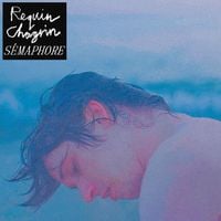 Requin Chagrin - S&eacute;maphore