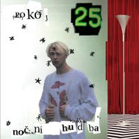 Pokoj25 - Nočn&iacute; hudba