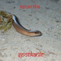 Aśwattha - Spotkanie