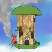 Finch - Bird Feeder