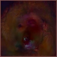 Distortion In Sync - I Have a Special Plan for This World