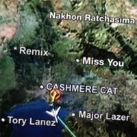 Cashmere Cat - Miss You (Remixes)
