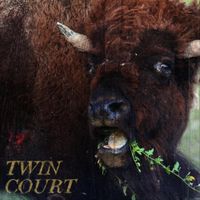 Twin Court - Sage Creek