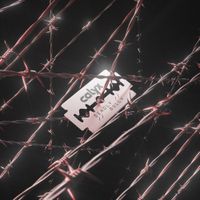 Calyx - Deadly / Gully