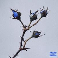 Melons - Petali (Osama 3)