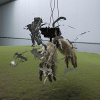 ccontrary - Monad