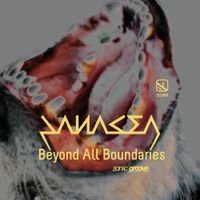 The Panacea - Beyond the Boundaries