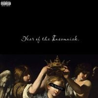 Insomniak - YEAR OF THE INSOMNIAK.