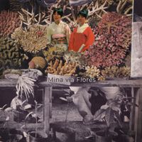 Mina Via Flores - Las neas y los perros