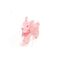 Silver Dove - Nerves