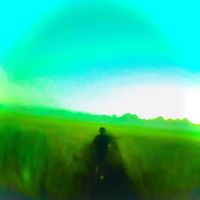Big Pot - fields