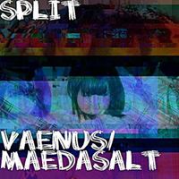 Vaenus - Split