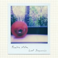 Primitive Motion - Lost Frequencies