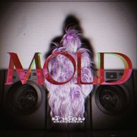 ผ้าอ้อม99999 [pa-o-mu99999] - Mold