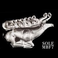 Sole - Mansbestfriend 7