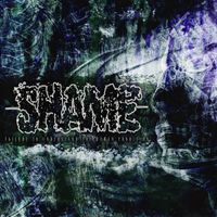 Shame - Failure to Understand the Human Condition