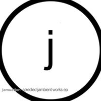 Jamuation - selected jambient works