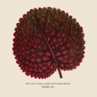 Will Saul - Paradise Ave