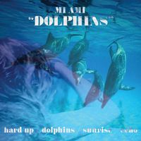 Mi Ami - Dolphins