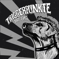 The F-16's - Triggerpunkte
