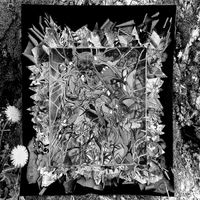 Storms With Windows - Poison&Pathos