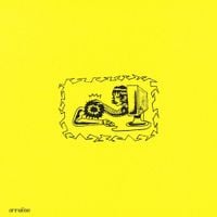 Computer - Annalise