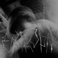 Temn&yacute; Rudo - Entropia