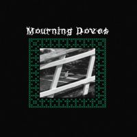 Sleep Habits - Mourning Doves
