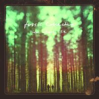 Fossil Collective - Tell Where I Lie