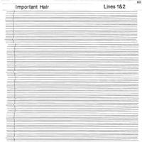 Important Hair - Lines 1 & 2