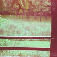 Anhendia - My problems are insignificant, I am insignificant