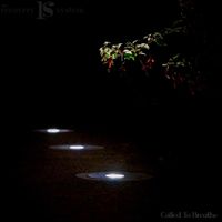 The Recovery System - Called To Breathe