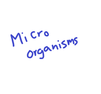 Comely - Micro-Organisms
