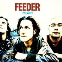 Feeder - High