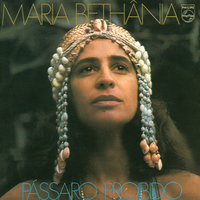 Maria Beth&acirc;nia - P&aacute;ssaro proibido