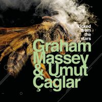 Graham Massey - Kicked From The Stars