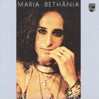 Maria Beth&acirc;nia - P&aacute;ssaro da Manh&atilde;